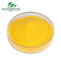 Wellgreen CAS 303-98-0 Ubiquinone 10%20%40% Water Soluble Coenzyme Q10 Powder