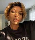 Wholesale 13x4 Full Lace Front Pixie Cut Short Human Hair Wig Curly Brazilian Virgin Remy Hair for Black Women