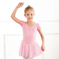 B8001 Professional Exercise Cheap Girls Leotards With Skirt Kids Ballet Dress Training Dancewear Ballet