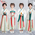 Children's Traditional Hanfu Costumes Dance Hanfu Skirts Girls Performance Skirts