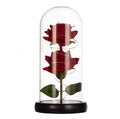 AYOYO OEM Rose  Flower Gift Box for Mother's Day Valentine's Day Glass Dome Lighting Rose
