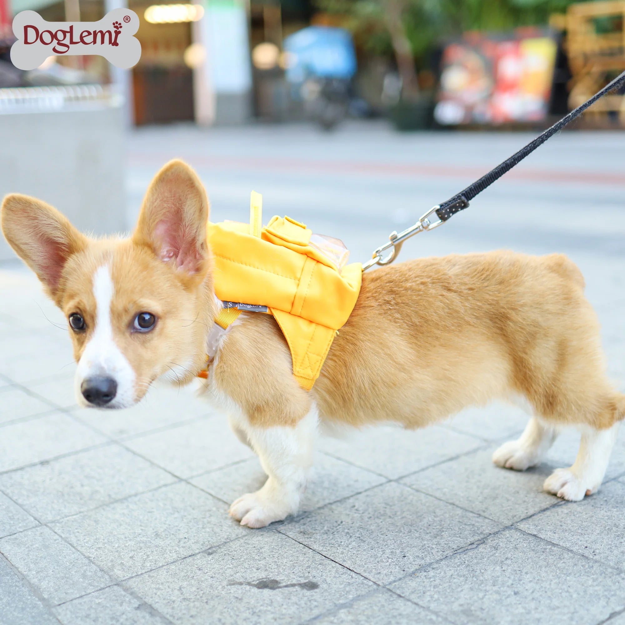 Self-Holder Mini Dog Carrier Backpack with Zipper Closure Printed Pattern for Walking Pets
