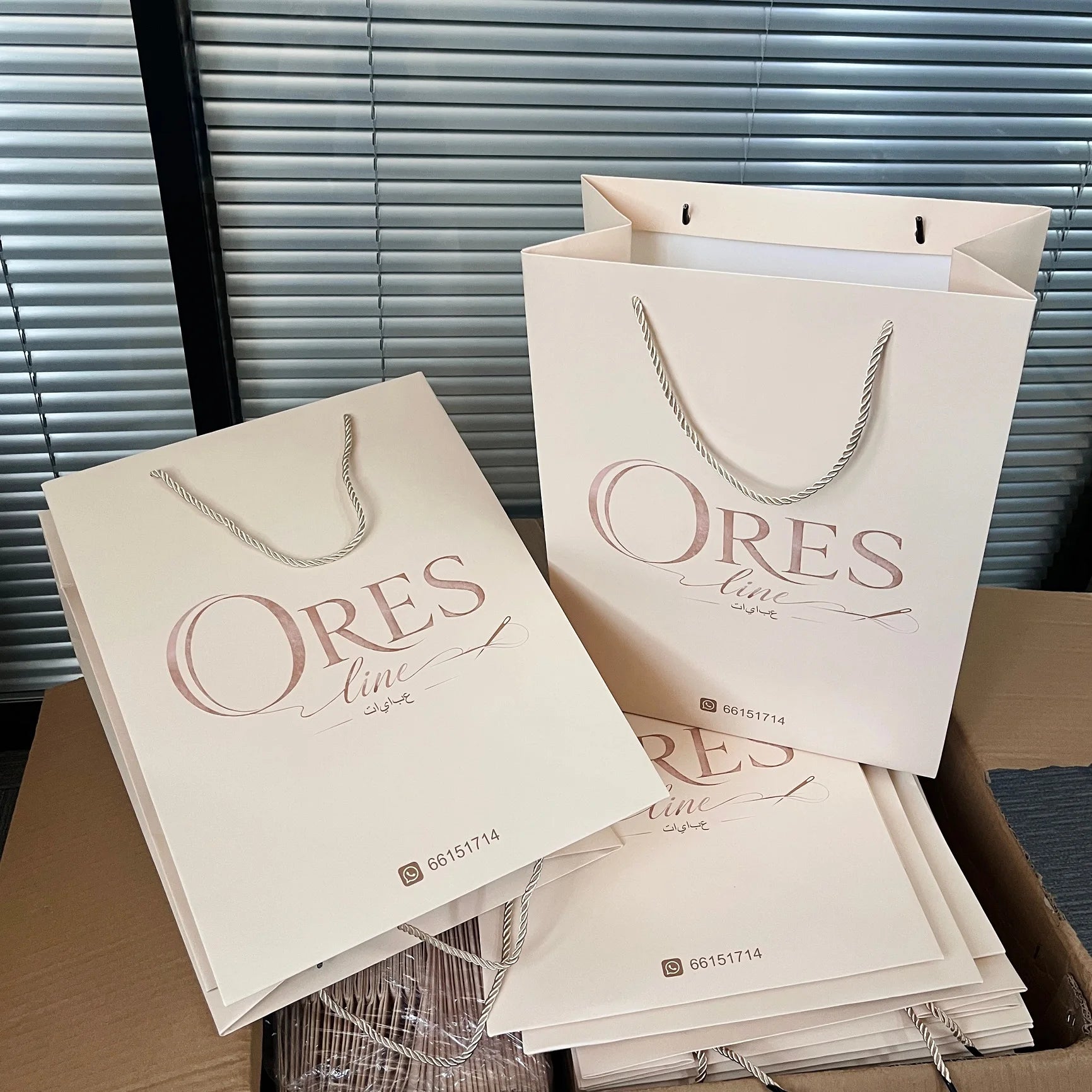 Wholesale Luxury Brand logo Gift Shopping Paper Bag With Logo for Clothing Custom Packaging Bag