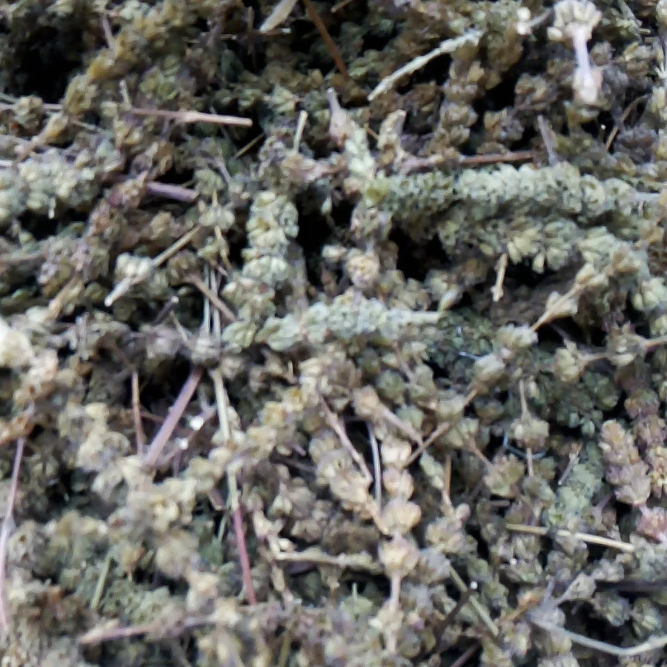Jing Jie Raw Dried Herb Japanese Catnip Flower Spikes for Sale