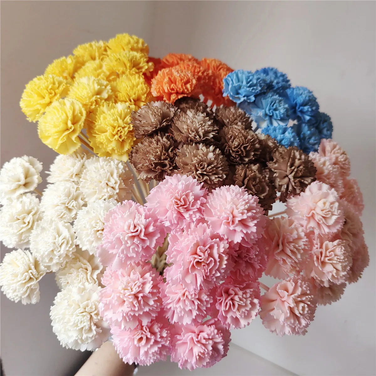 Handmade 4cm Colorful Carnation Dried Flowers Decorative Wedding Bouquet for Home Furnishings Aromatherapy for Mother's Day