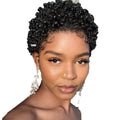 Wholesale 2025 New Women's Fashionable Black Small Curly Hair Fluffy Short Curly Hair African European and American Styles