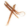Bulk Hong Shen Best Quality Organic Whole Ginseng Korean Red Panax Ginseng Root for Sale