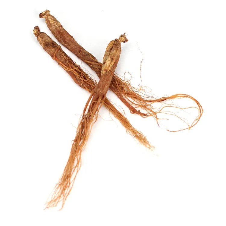 Bulk Hong Shen Best Quality Organic Whole Ginseng Korean Red Panax Ginseng Root for Sale