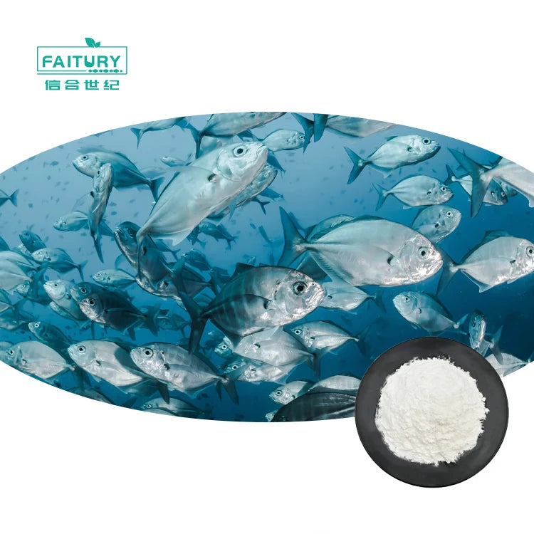 Wholesale Fish Collagen Dipeptide Powder Hydrolyzed Marine Collagen Powder
