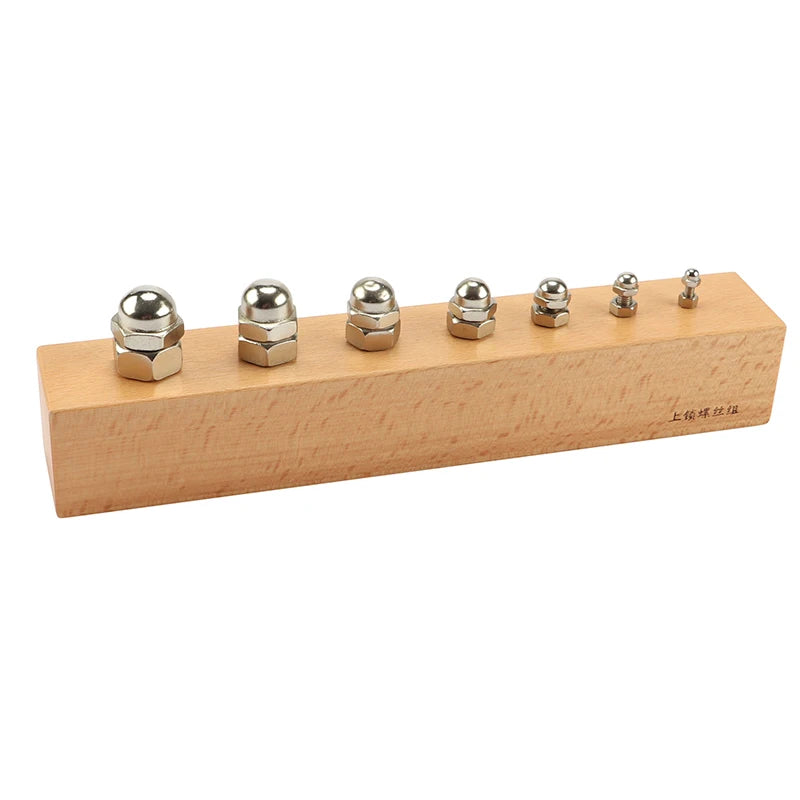 Montessori Teaching Material Wooden Toy for Infant and Toddler Nuts and Bolts