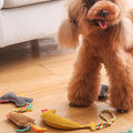Hot Wholesale Small Felt Grind Pet Toys Dog Tooth Chew Toy Chicken Bones Banana Drumsticks Carrots Shape Puppy Toy for Dogs