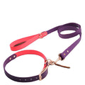 Wholesale Adjustable Eco-Friendly Nylon Pet Collar Leash Set Soft Printed PVC Rope Leads Waterproof Splicing Rivet Decoration