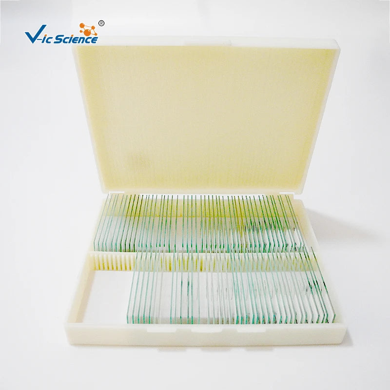 Human Pathological Histology Tissue Microscope Prepared Slides Pathology Slides Medical Science Pathology