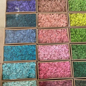Hot Selling High Quality Handmade Reindeer Moss Wall Decor Natural Preserved Square Box LED Light Multi-colors Wall Mount