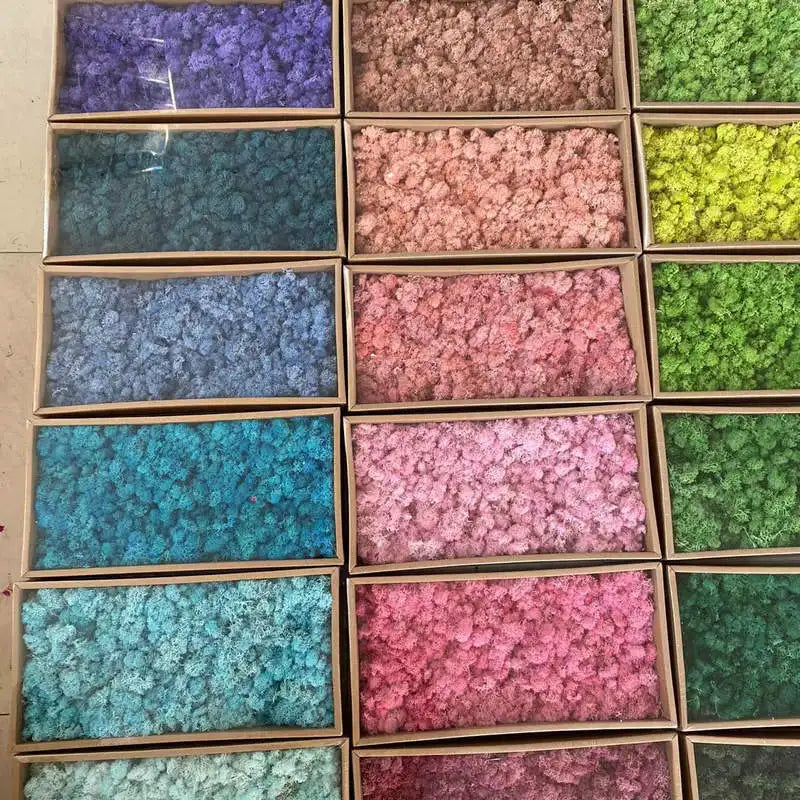 Hot Selling High Quality Handmade Reindeer Moss Wall Decor Natural Preserved Square Box LED Light Multi-colors Wall Mount