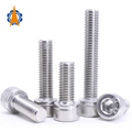 Stainless Steel Hex Socket Head Cap Screw Din912 Allen Bolt