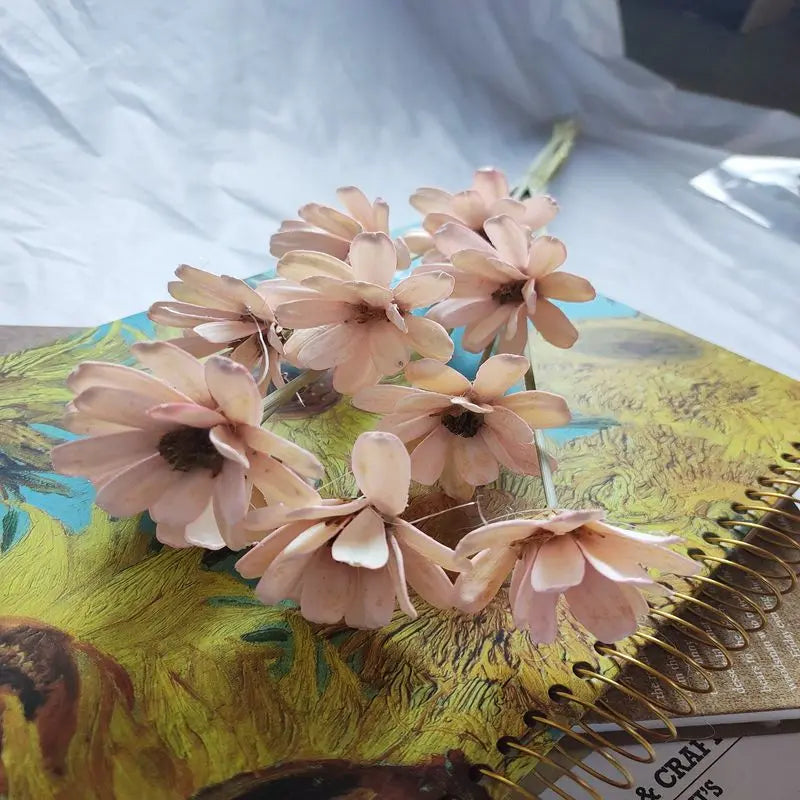 2025 New Design Dried Flowers Melon Seeds DIY Flower for Home Decoration Handmade Gift Christmas Thanksgiving Chinese New Year