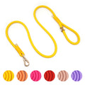 2025 Trending Product Tiktok Hot Selling Gold Hook Soft Dog Leash Leads Yellow Pet Leashes Rope Fashion Polyester Dog Leash Bulk