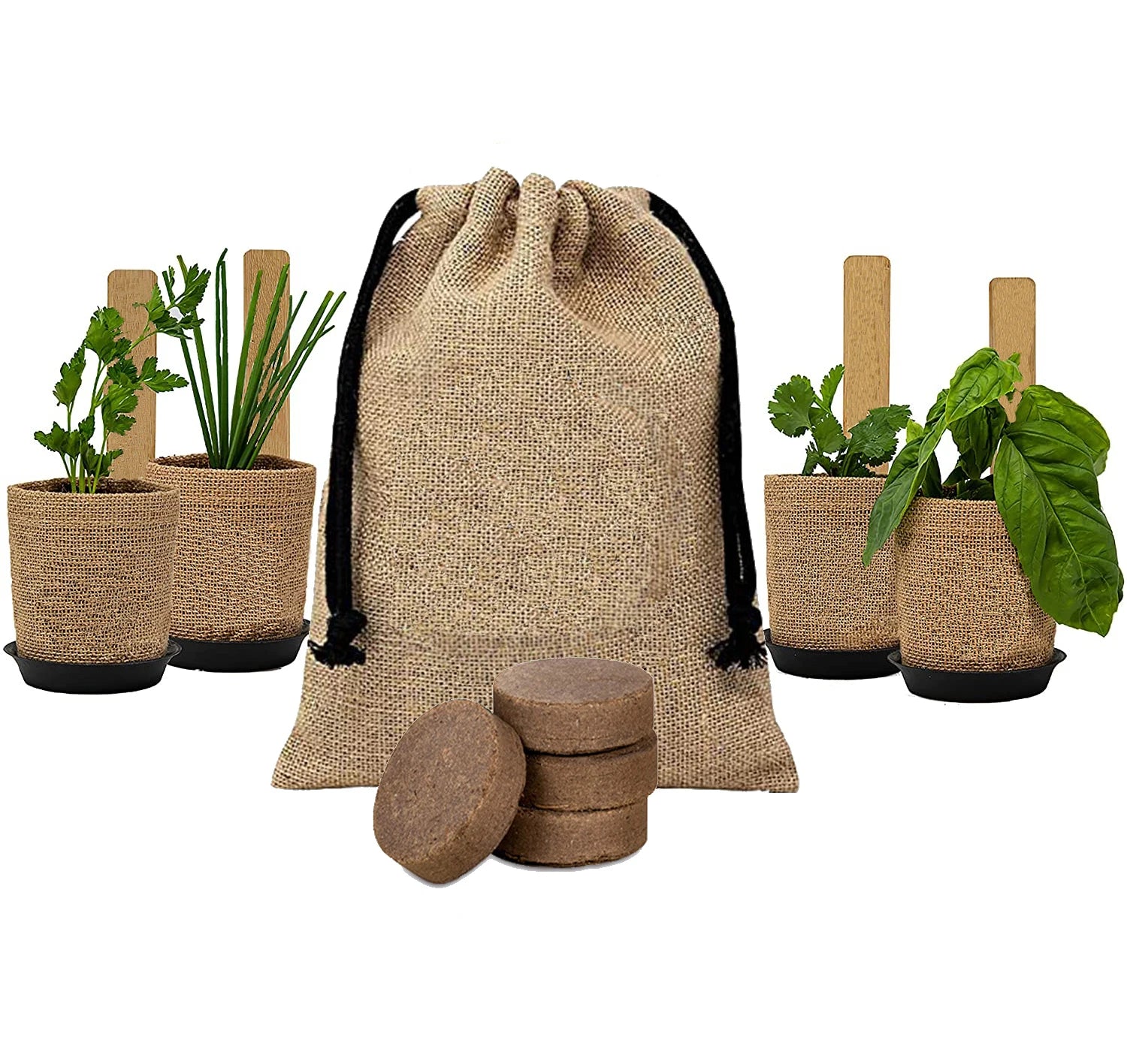Mini Herb Starter Kit with Coconut Bran Block Pots Plastic Flower Pot Plant for Home and Garden