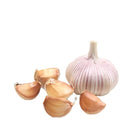 Premium Quality Dried Non Organic Garlic Roots Vegetable Raw Hardy White Garlic Bulb Seed for Spice