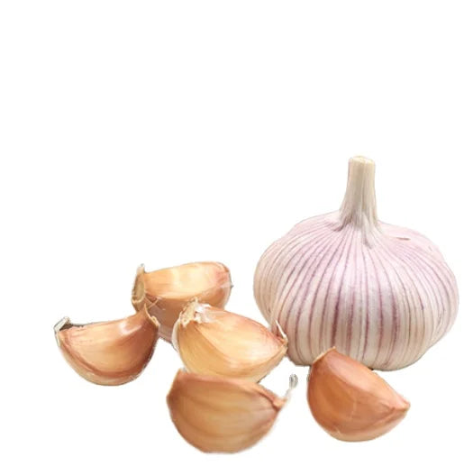 Premium Quality Dried Non Organic Garlic Roots Vegetable Raw Hardy White Garlic Bulb Seed for Spice