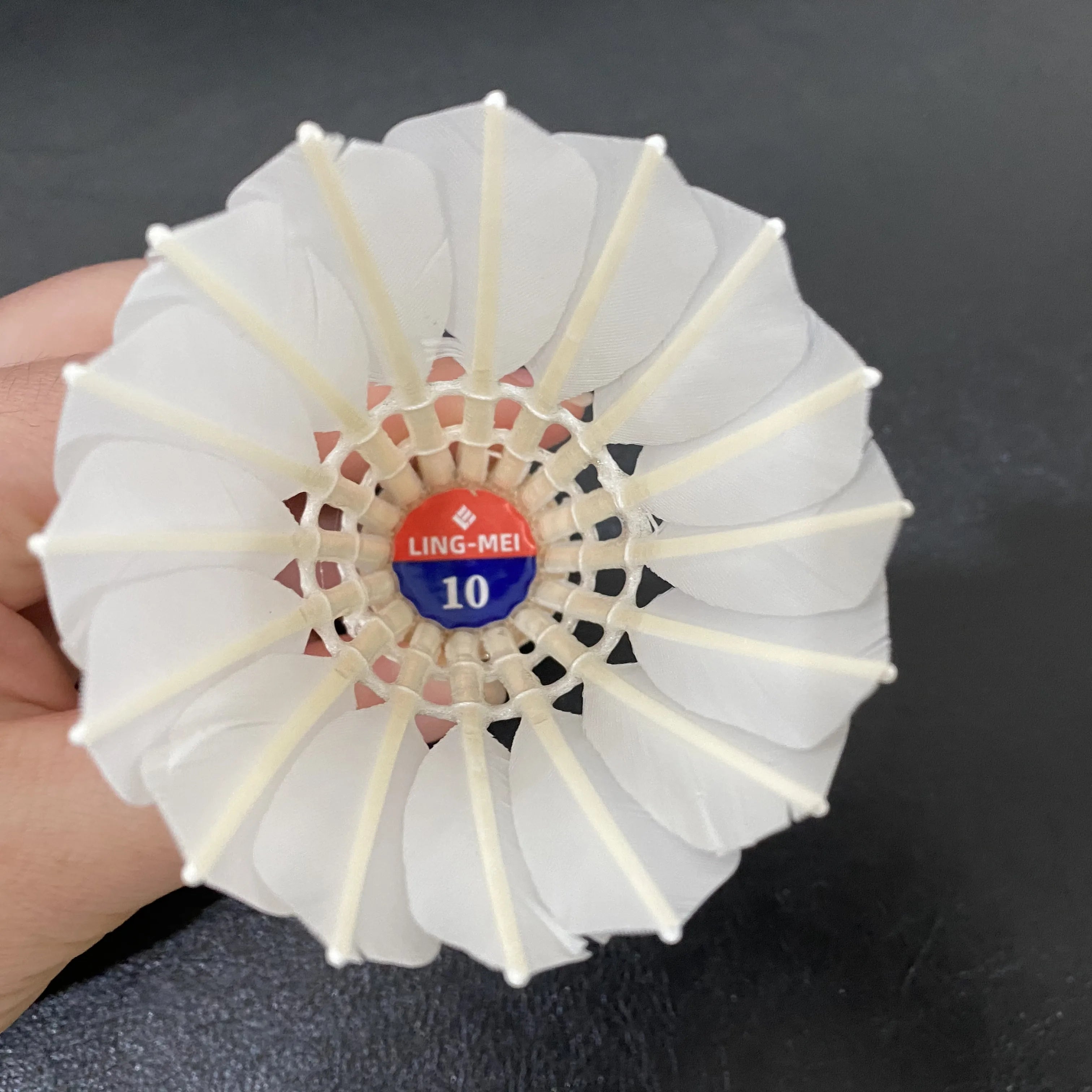 Lingmei 10 Goose Feather Badminton Shuttlecock for Training