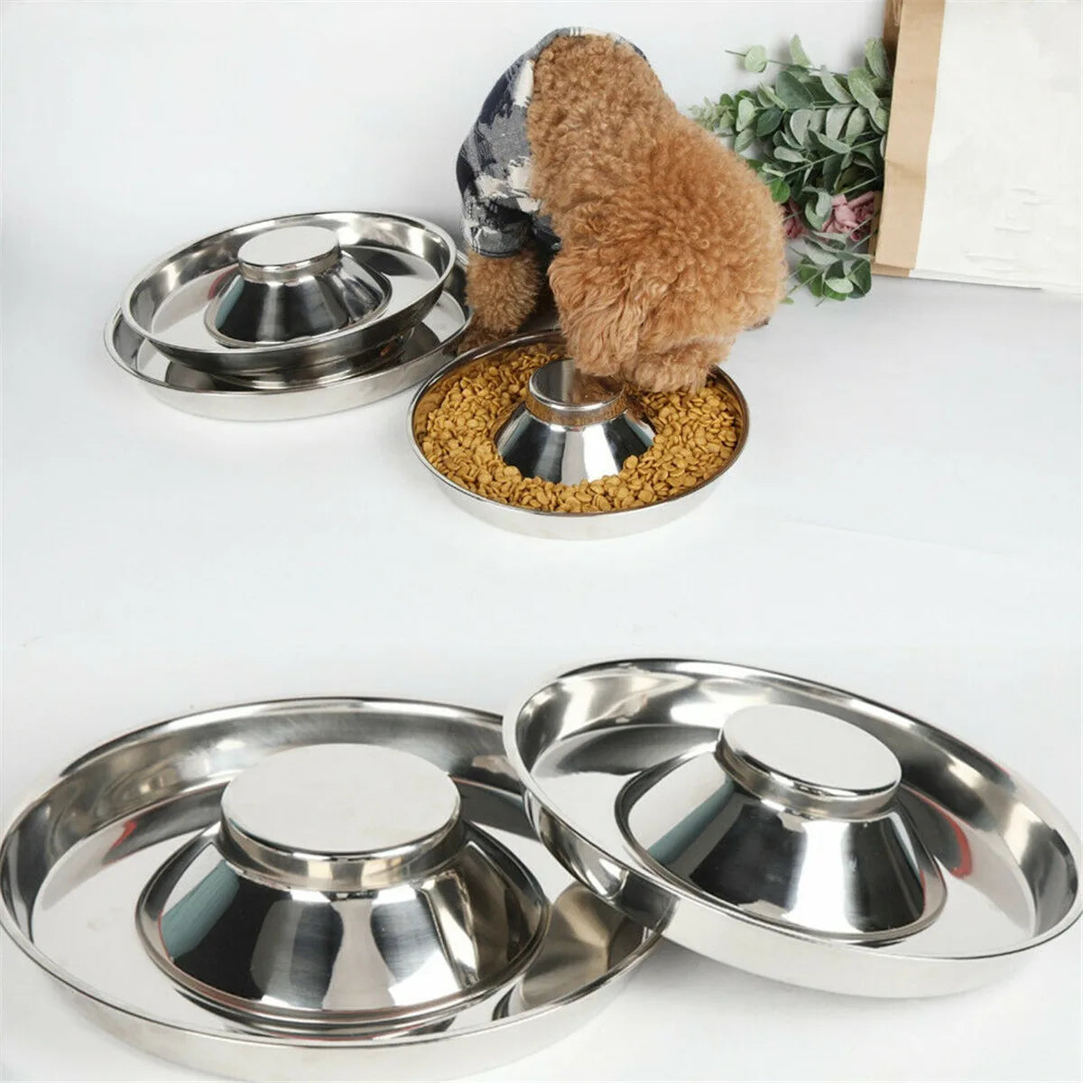 Puppy Feeding Bowls for Litters Stainless Steel Dog Bowl Pet Feeder Bowl Whelping/Weaning Dishes Feeder for Small Dogs Cat