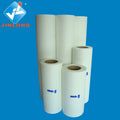 DTF Roll Film Hot Peel PET Transfer Film Roll 30cm 33cm 60cm 37cm 40cm 45cm Heat Transfer DTF Printing Film for T-shirt