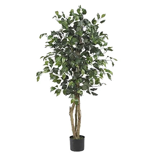 Nearly Natural Large 6.5ft Golden Cane Palm Silk Tree Green & Natural 6ft Ficus Artificial Trees 72in Green Plastic Material