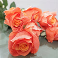 Hot Sale Latex Roses Artificial Flower Real Touch Rose for Valentine's Day