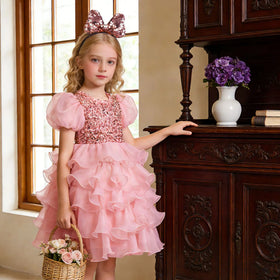 Bubble Sleeved Princess Girl Evening Dress Kid Performance Dress for Girl 2-10 Year Fluffy pink Flower Girl Wedding Dress