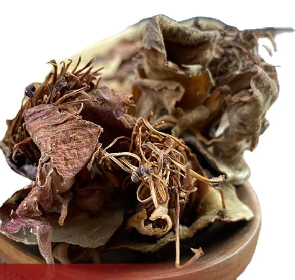 Natural New Gossampinus Malabarica Raw Dried Gossampinus Malabarica Flowers for Tea