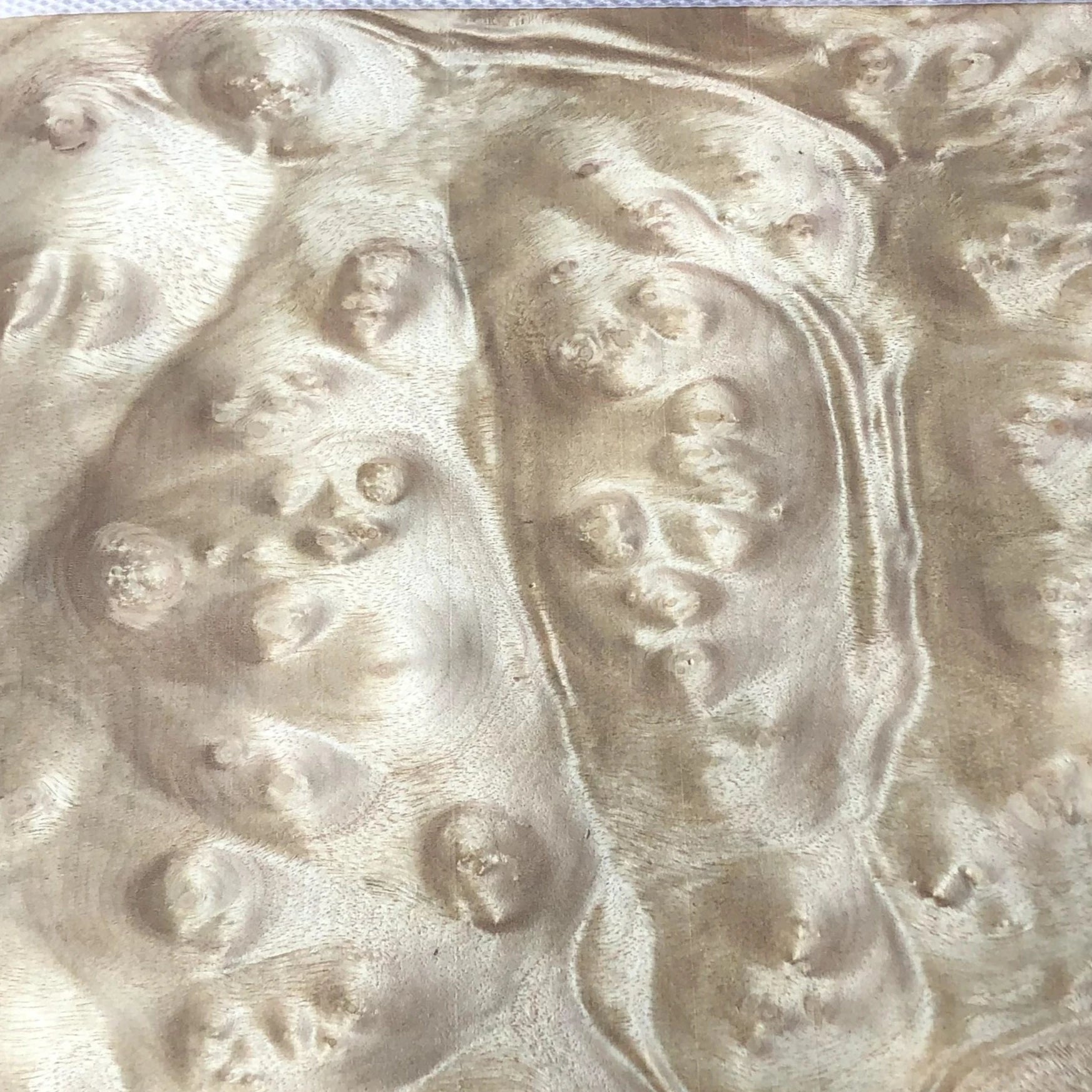 Factory Natural Golden Madrone Burl Wood Veneer Plywood Sheet Golden Madrone Burl Wood Veneers 0.45mm for Furniture
