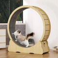 Silent Sports Running Wheel High Fiberboard Cat Climbing Frame Polished Art Cat Toys Wooden Wood Crafts Wooden Boxes Wall Signs