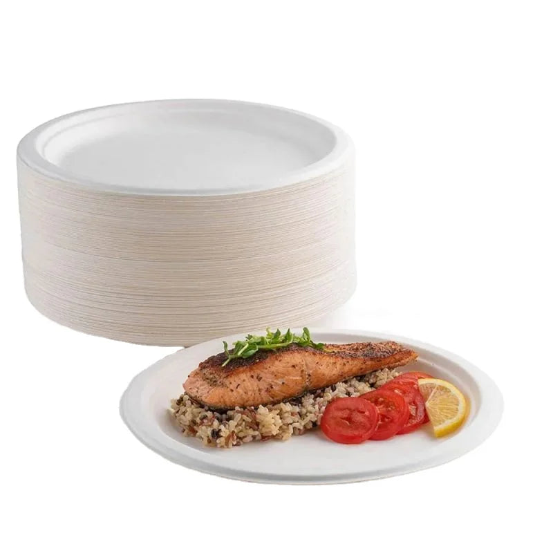 Wholesale Compostable 100% Biodegradable 10 Inch Disposable Plates Wedding Disposable Party Plates