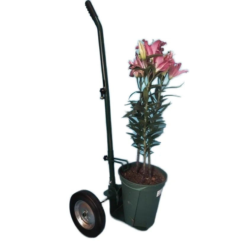 Best-Selling Foldable Flower Pot Colorful Coated Garden Caddy Mover for Home Nursery Easy Moving Dolly for Planting