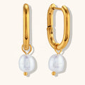 Dingran Fashion U Shape Earring Stainless Steel Hypoallergenic Freshwater Pearl Drop Earrings for Women