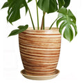 Brown Striped Design Modern Style Ceramic Flower Pot with Drainage Hole and Matching Saucer Garden Planter Home Decoration