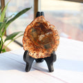 For Home Decoration Love Gemstone Opp Bag Slab Specimen Polished Fossilized Slice Petrified Wood Irregular Stone Natural 5pcs