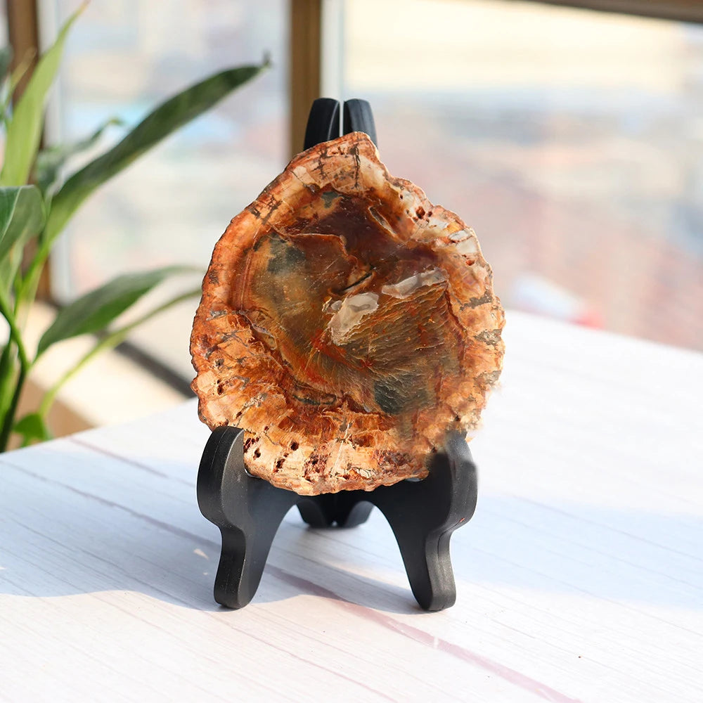 For Home Decoration Love Gemstone Opp Bag Slab Specimen Polished Fossilized Slice Petrified Wood Irregular Stone Natural 5pcs