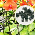 Rod Flower Branch Plants Support Clip Shape Cute Dark Green Brown Plastic Phalaenopsis Support Clip