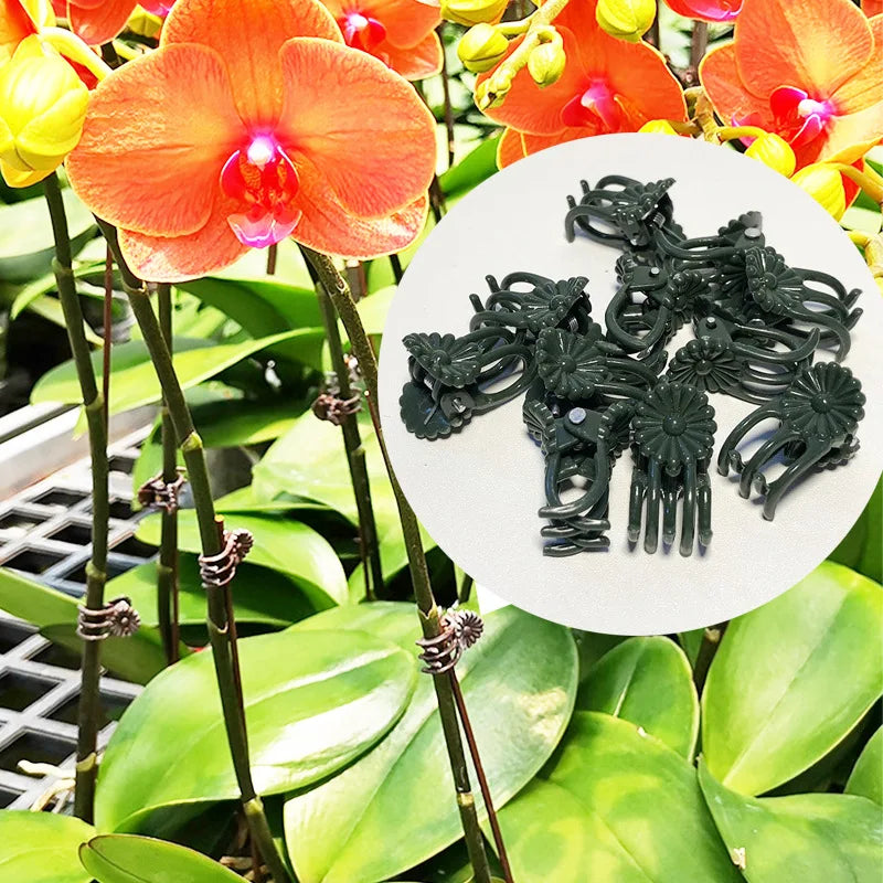 Rod Flower Branch Plants Support Clip Shape Cute Dark Green Brown Plastic Phalaenopsis Support Clip