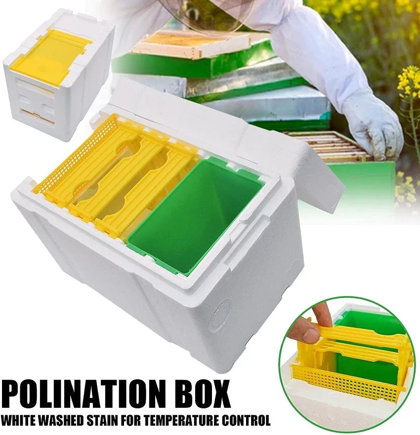 Wholesale New Mini Mating Bee Box Beekeeping Equipment Upgrade EPS Foam Queen Bee Nuc Easily Assembled MegaBDM
