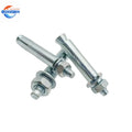 Factory Customized Stainless Steel 304 316 Anchor Carbon Steel Fasteners with ISO/DIN Competitive Price and After Sale Service