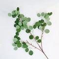 Wholesale Small Leaf Artificial 3-Fork Eucalyptus Branch Handmade Money Leaf Wedding Decoration