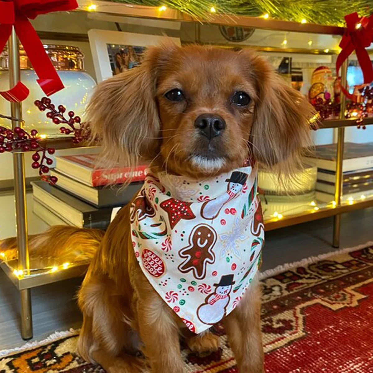 Wholesale Large Stocked Personalised Bulk Dog Bandana Christmas Colours