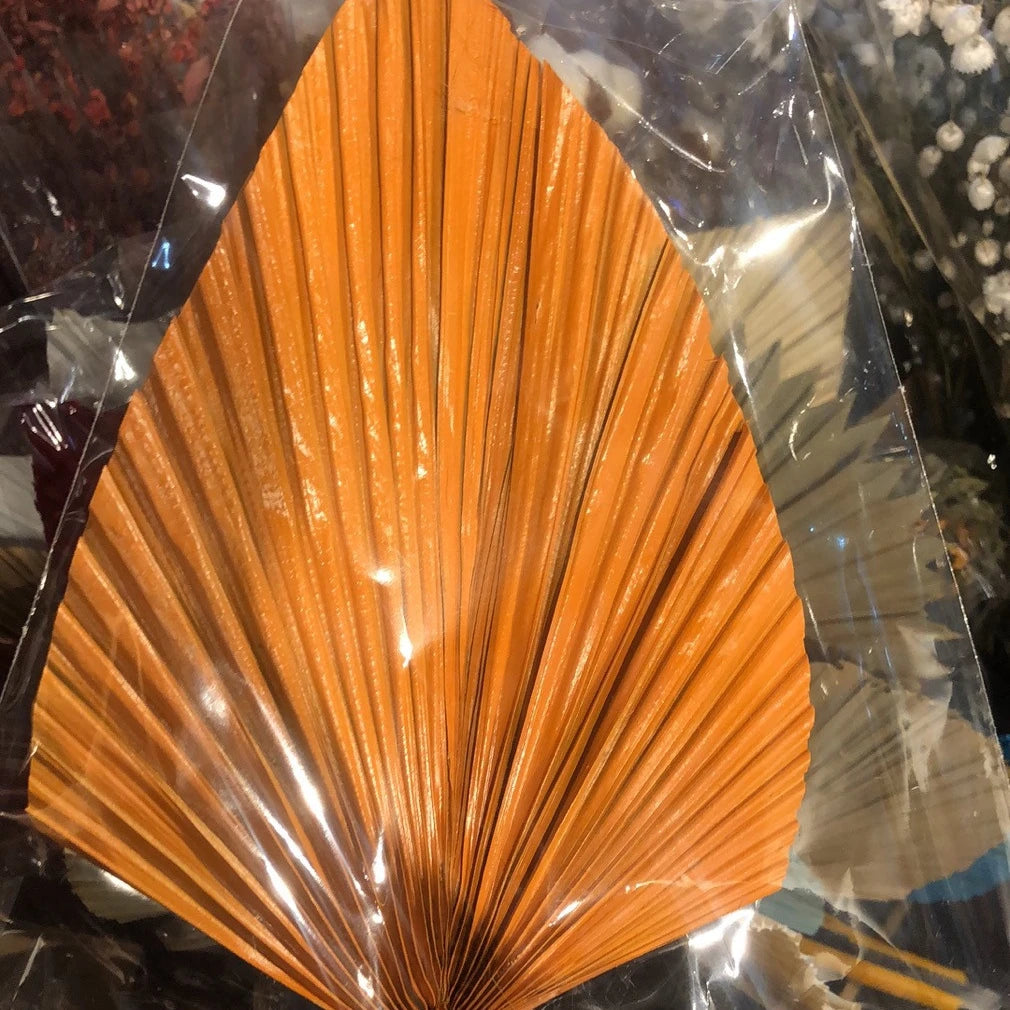 SZ04326 Whosale Dried Palm Leaves Natural Processed Palm Leaf Dry Preserved Dried Golden Leaf Decoration