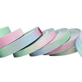 Multi-Color High Tenacity Polyester Seatbelt Webbing Printed Webbing Pet Leash Dog Collar