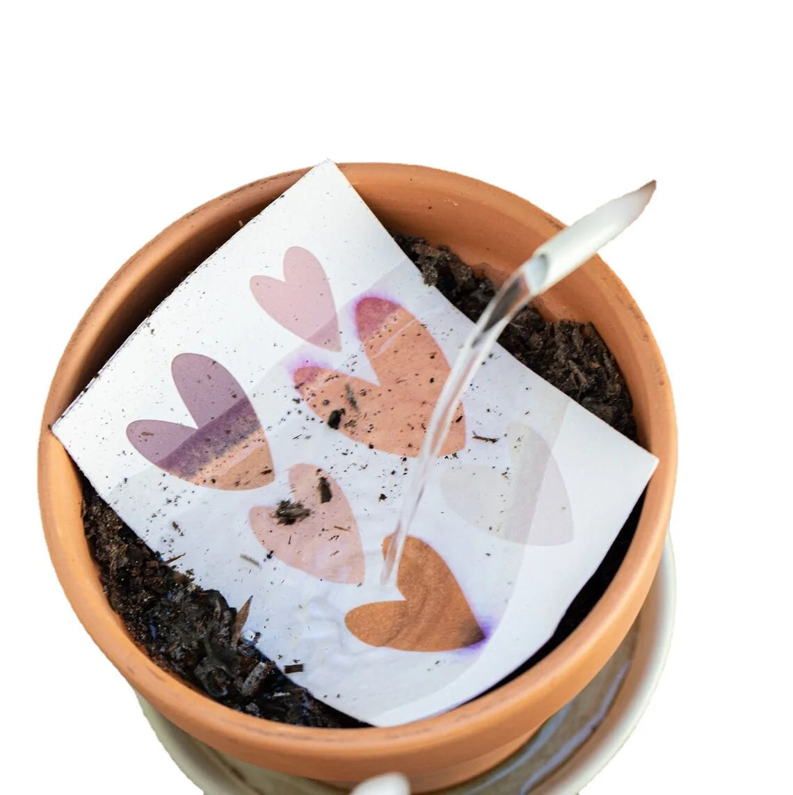 Manufacturer Customized Seed PaperCcard Tag Ticket Invitation Christmas Seed Paper