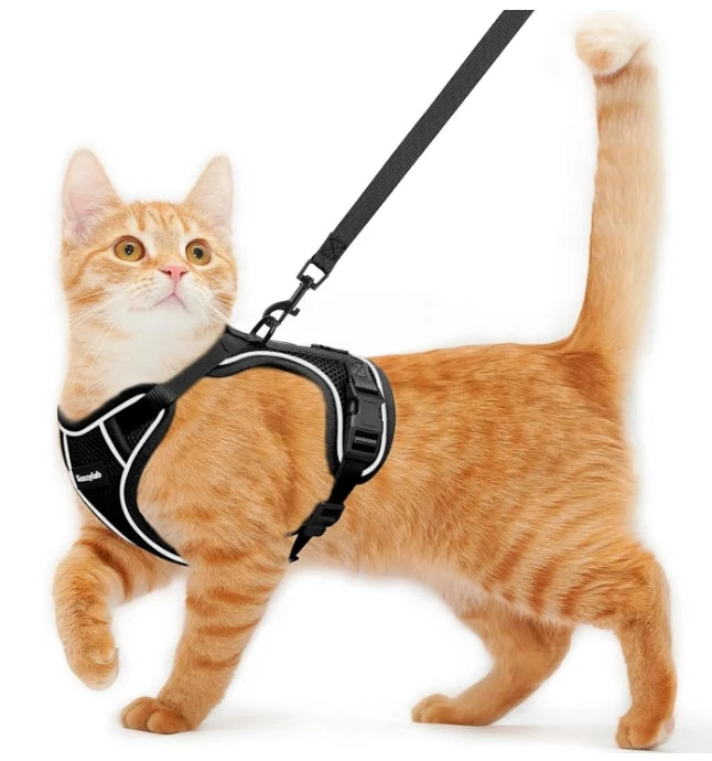 Cat Harness and Leash for Walking Escape Proof Soft Adjustable Cat Leash Breathable Comfortable Vest Easy to Wear